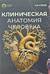 Клиническая анатомия человека