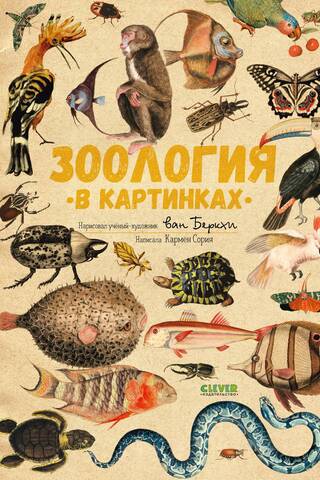 Зоология в картинках