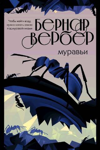 Муравьи