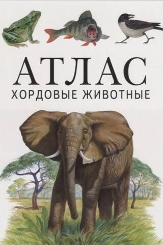 Хордовые животные. Атлас