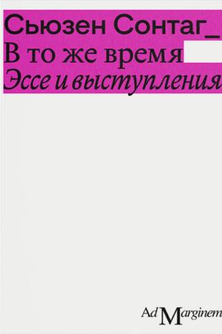 В то же время. Эссе и выступления