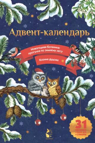 Адвент-календарь. Новогодняя ботаника: прогулка по зимнему лесу
