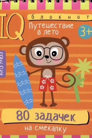 Умный блокнот. 80 задачек на смекалку. Путешествие в лето