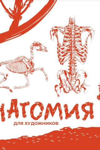 Анатомия для художников. Экспресс-курс + скетчбук