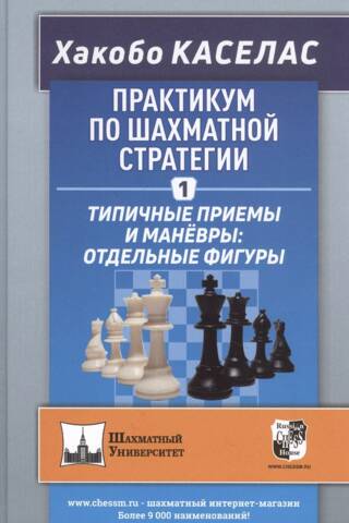 Chess Strategy Workshop 1. Typical Techniques and Maneuvers: Individual Pieces