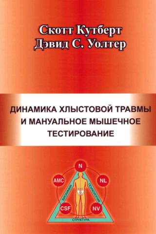 Динамика хлыстовой травмы и мануальное мышечное тестирование