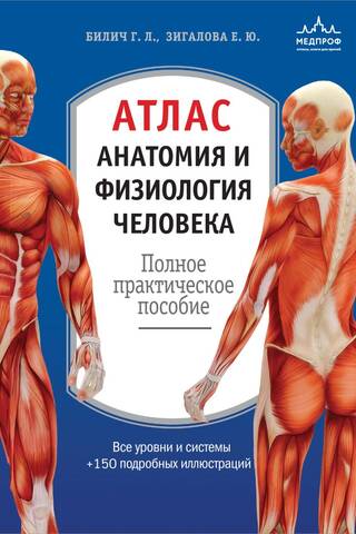 Атлас. Анатомия и физиология человека: полное практическое пособие