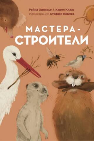 Мастера-строители