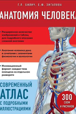 Анатомия человека. Современный атлас с подробными иллюстрациями