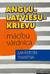 Англо-латышско-русский учебный словарь. Angļu-latviešu-krievu mācību vārdnīca