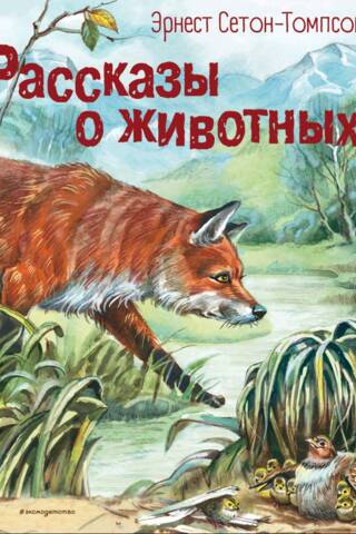 Рассказы о животных