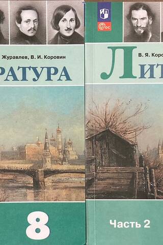 Литература. 8 класс. В 2 частях