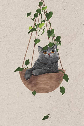 Открытка. Котик в подвесном горшке