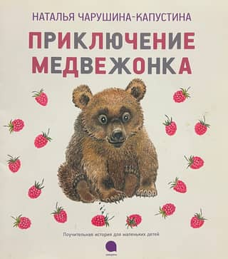 Приключение медвежонка