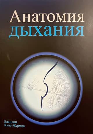 Анатомия дыхания
