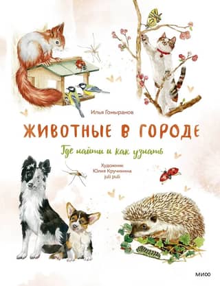 Животные в городе. Где найти и как узнать