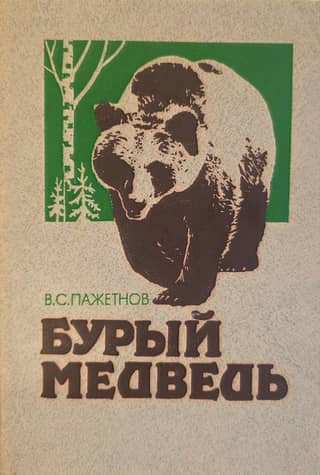 Бурый медведь