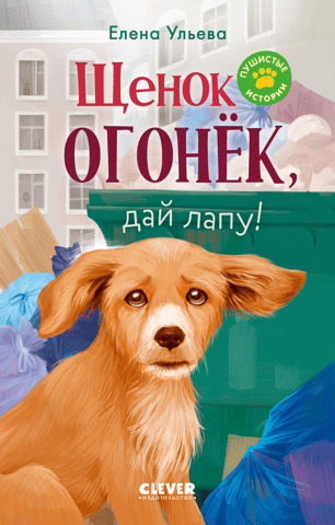 Щенок Огонек, дай лапу!