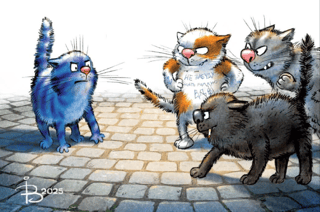 Postcard. Blue cats. Street mafia.