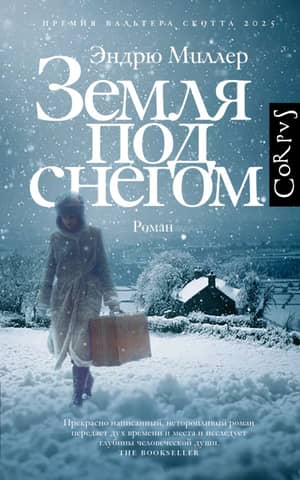 Земля под снегом