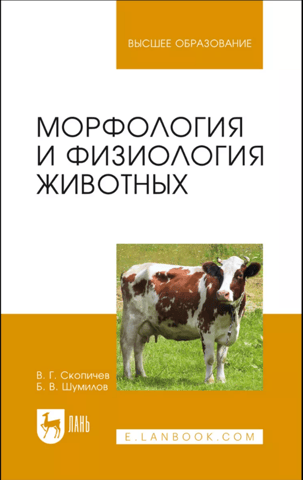 Морфология и физиология животных