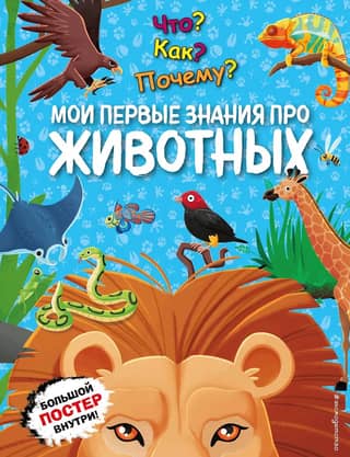 What? How? Why? My first knowledge about animals