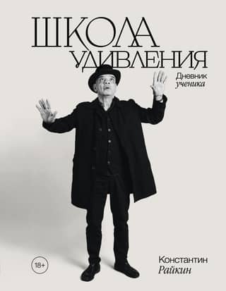 Школа удивления. Дневник ученика