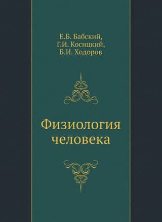 Физиология человека