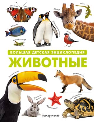 Animals: A Large Children's Encyclopedia