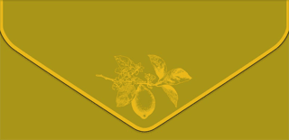 Money envelope. Lemon on a branch.