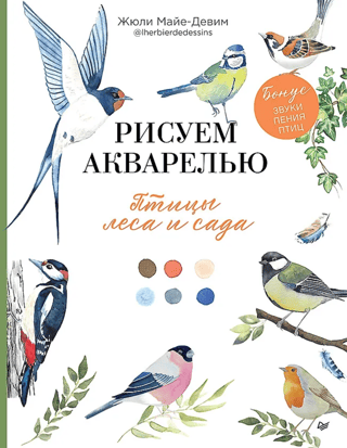 Рисуем акварелью. Птицы леса и сада