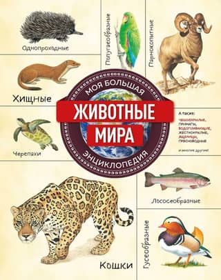 Animals of the World. My Big Encyclopedia