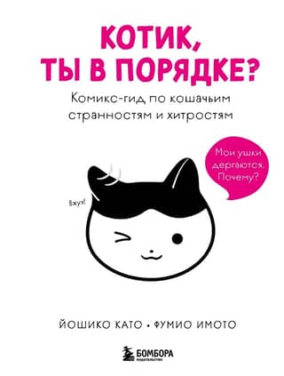 Kitty, are you okay? A comic guide to feline quirks and quirks.