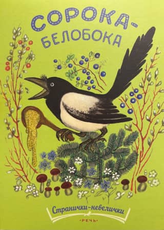 White-sided magpie