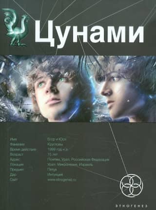 Цунами. Книга 1. Сотрясатели земли