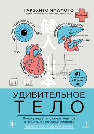 Удивительное тело. Почему наше тело самое нелепое и гениальное создание природы