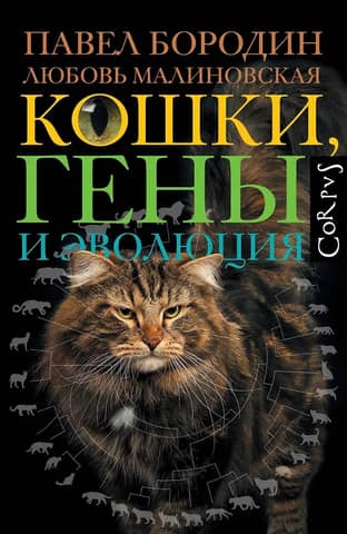 Cats, genes and evolution