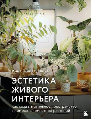 Living Interior Aesthetics: How to Create a Stylish Space with Houseplants