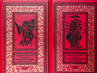 Колосья под серпом твоим. В 2 книгах