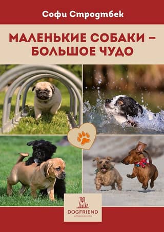 Маленькие собаки – большое чудо