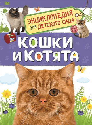 Cats and Kittens: An Encyclopedia for Kindergarten