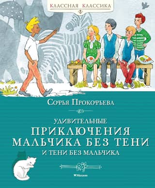 The Amazing Adventures of the Boy Without a Shadow and the Shadow Without a Boy