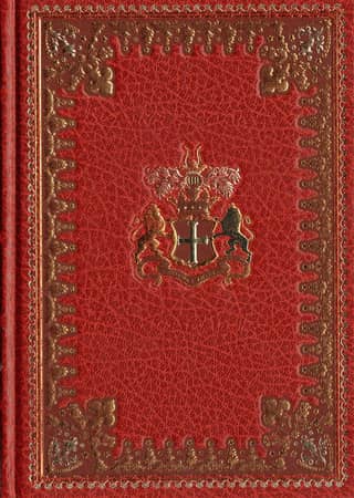 Пятнадцатилетний капитан
