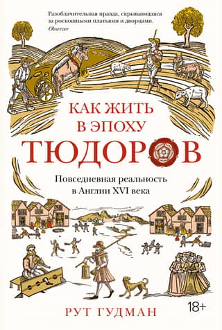 Как жить в эпоху Тюдоров. Повседневная реальность в Англии XVI века