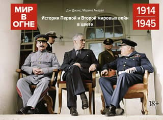 Мир в огне: История Первой и Второй мировых войн в цвете