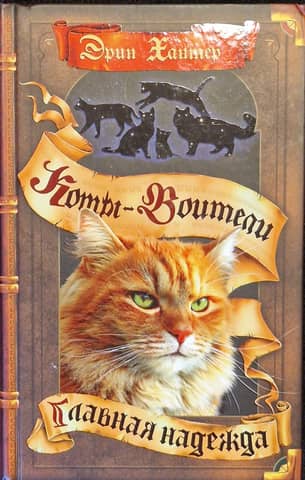 Знамение звезд. Книга 6. Главная надежда