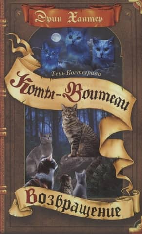 Тень Когтегрива. Книга 2. Возвращение