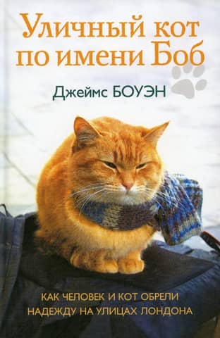 Уличный кот по имени Боб. Как человек и кот обрели надежду на улицах Лондона