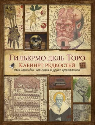 Кабинет редкостей. Мои зарисовки, коллекции и другие одержимости