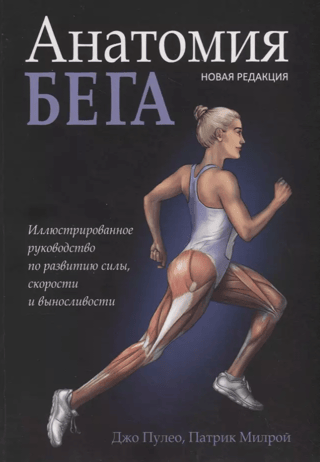 The Anatomy of Running